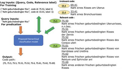 Classification of user queries according to a hierarchical medical procedure encoding system using an ensemble classifier